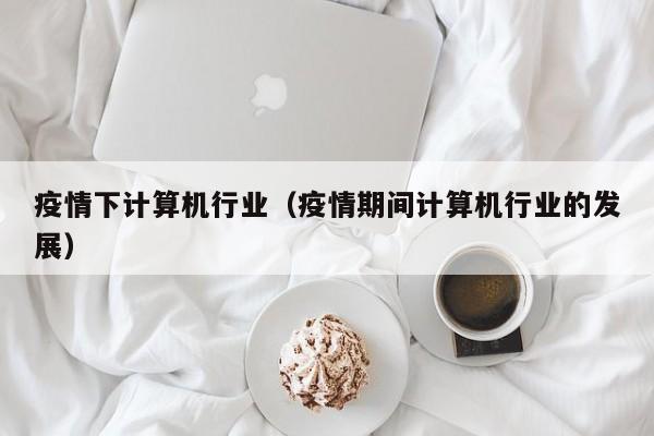 疫情下计算机行业（疫情期间计算机行业的发展）