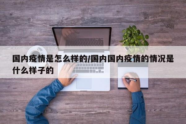 国内疫情是怎么样的/国内国内疫情的情况是什么样子的