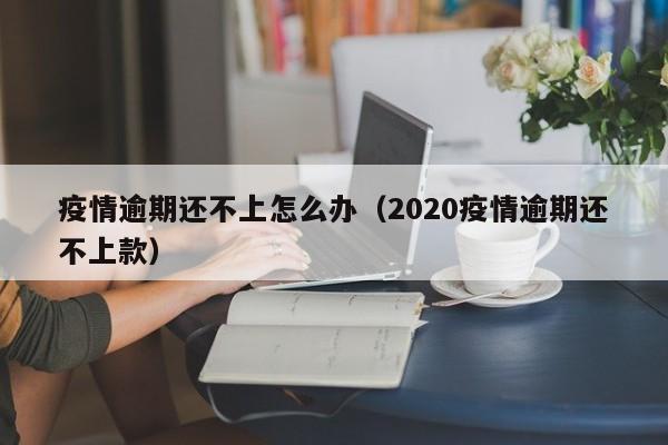 疫情逾期还不上怎么办（2020疫情逾期还不上款）