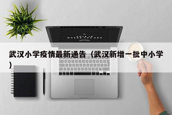 武汉小学疫情最新通告（武汉新增一批中小学）
